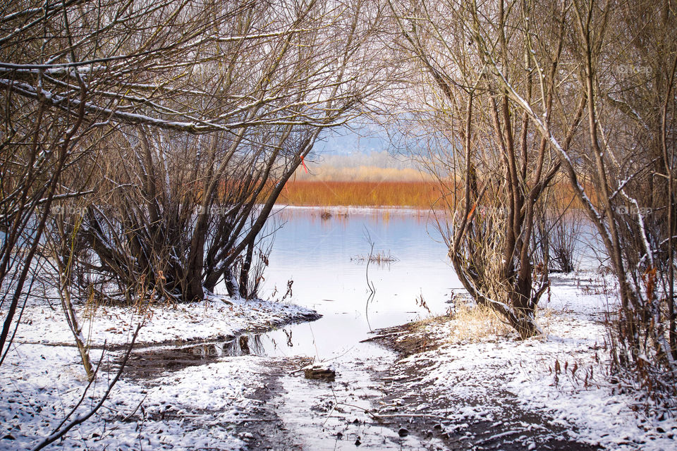 Dusting of snow by bybee lake