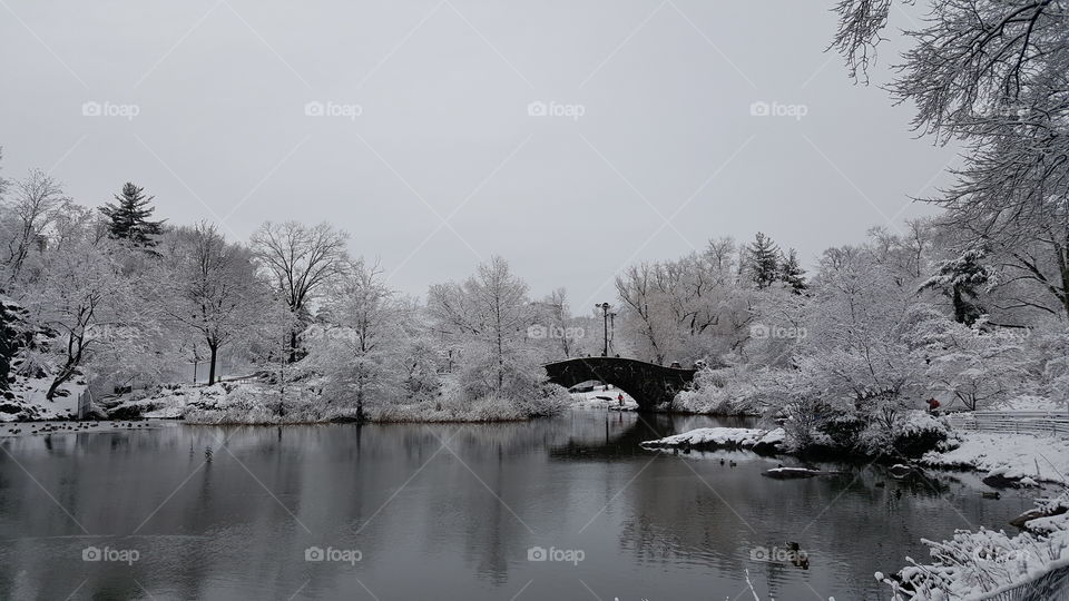 Winter in New York City. 🗽❄❄❄⛇☃🌨🌨🎄❄
