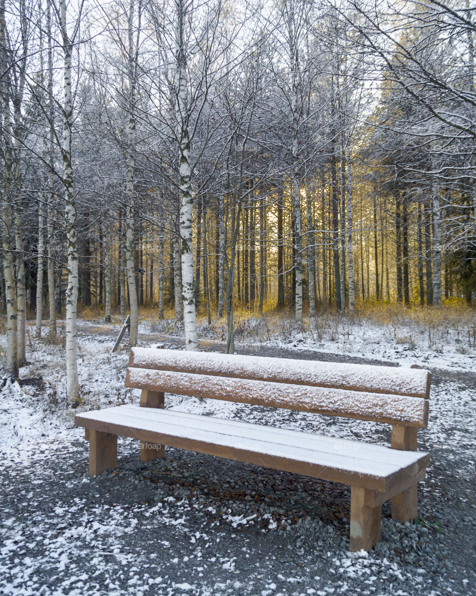 bench covered by snow ❄️
