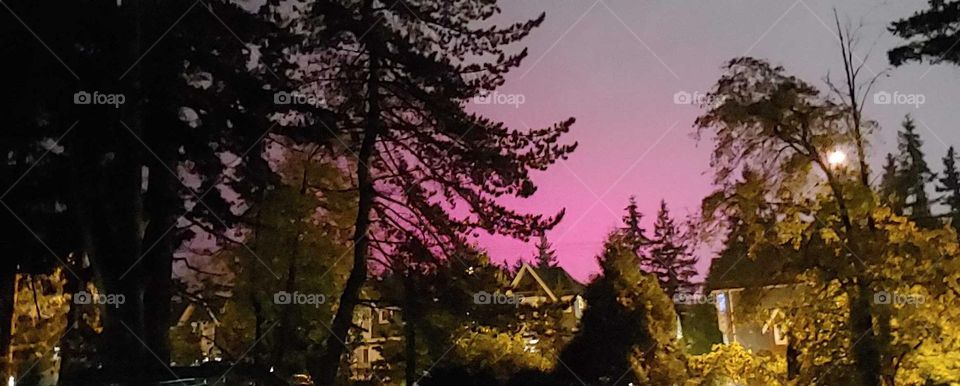 pink sky