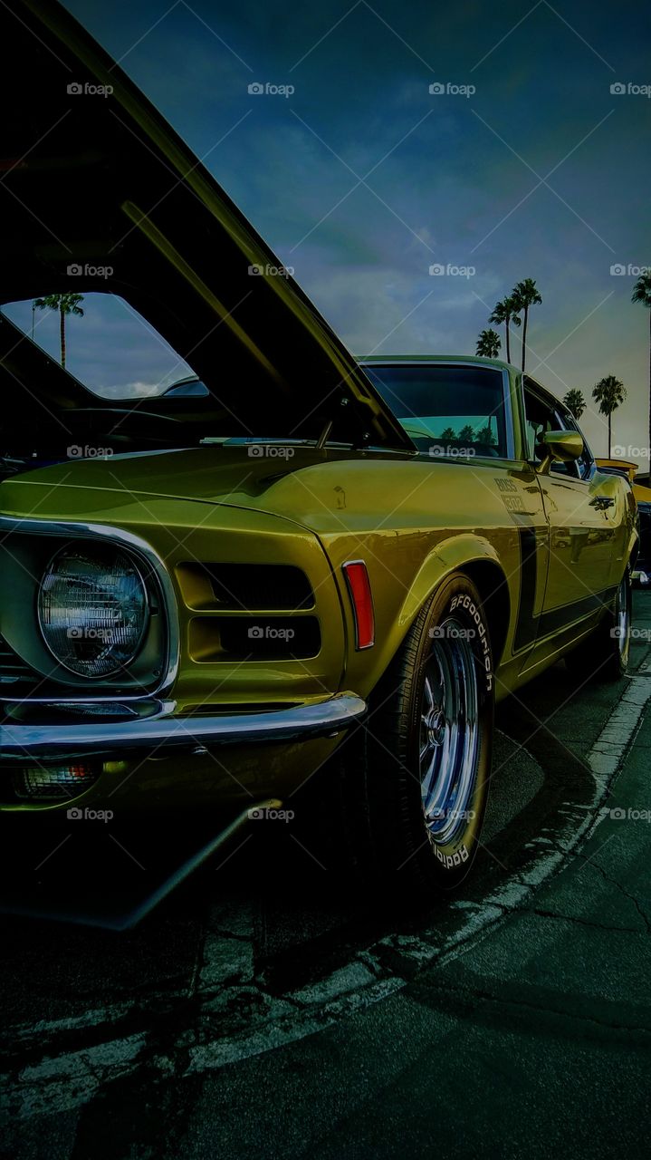 197p Boss 302