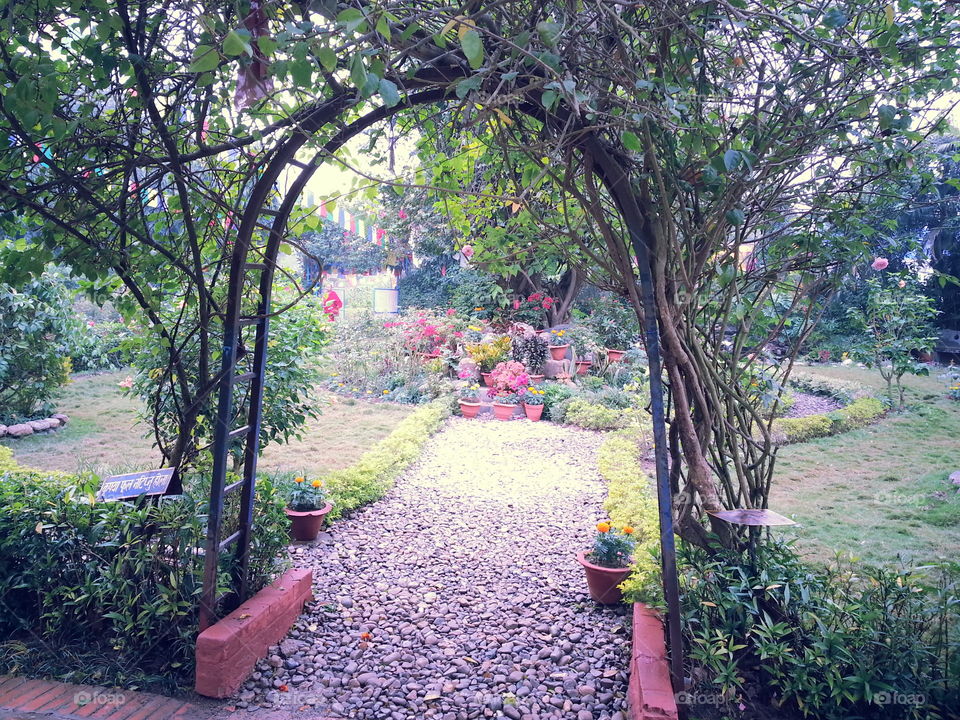 Lumbini garden