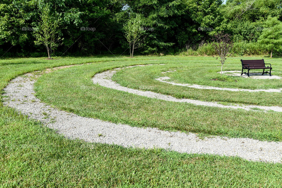 Circles cut in the grass around a single park bench
