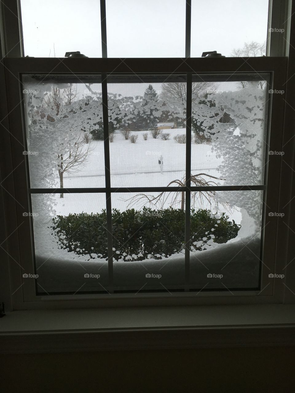 Winter Window