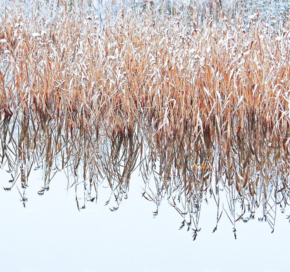 Frozen lake