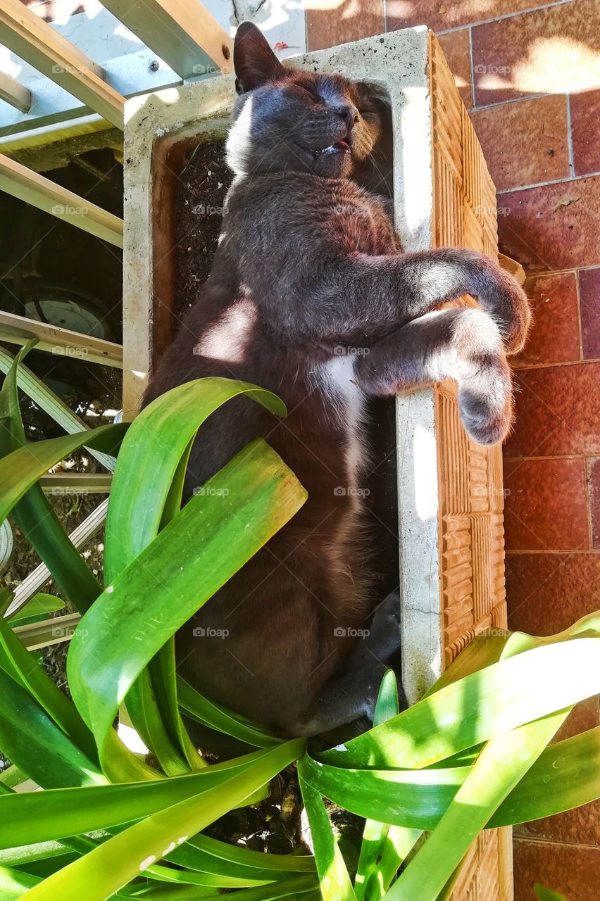 sleeping in the nature