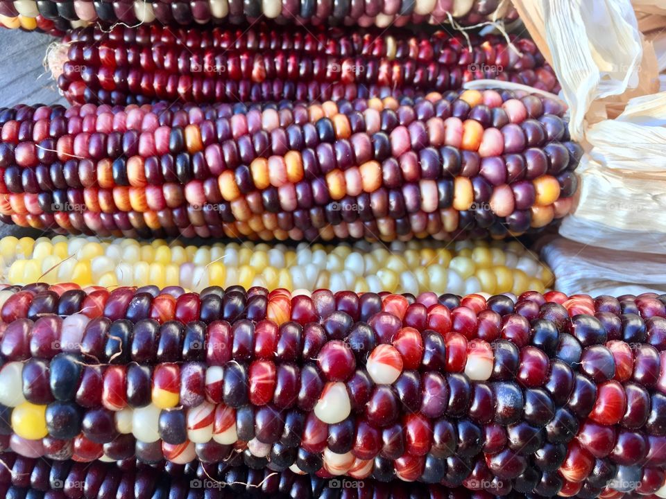 Colorful corn 