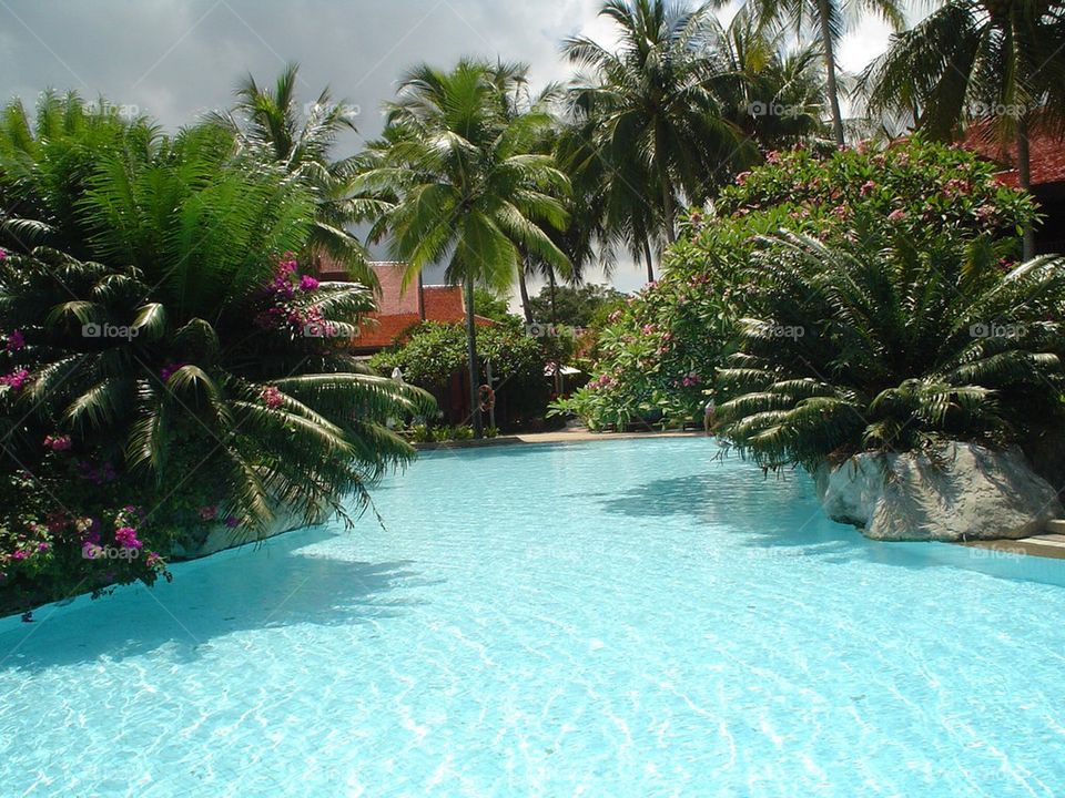 Swimming pool and villa