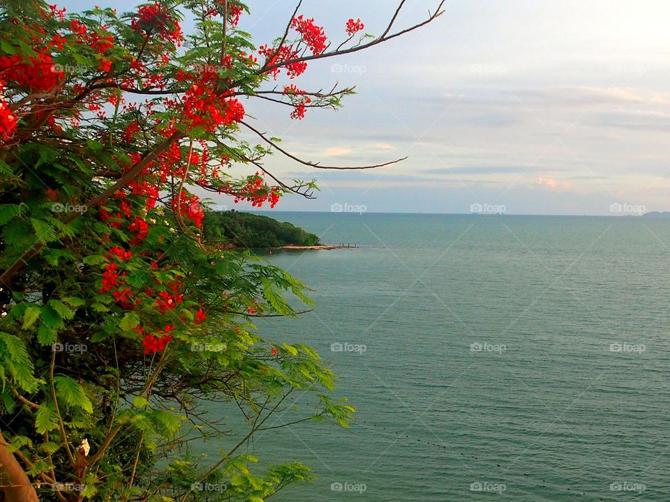 View of calm sea