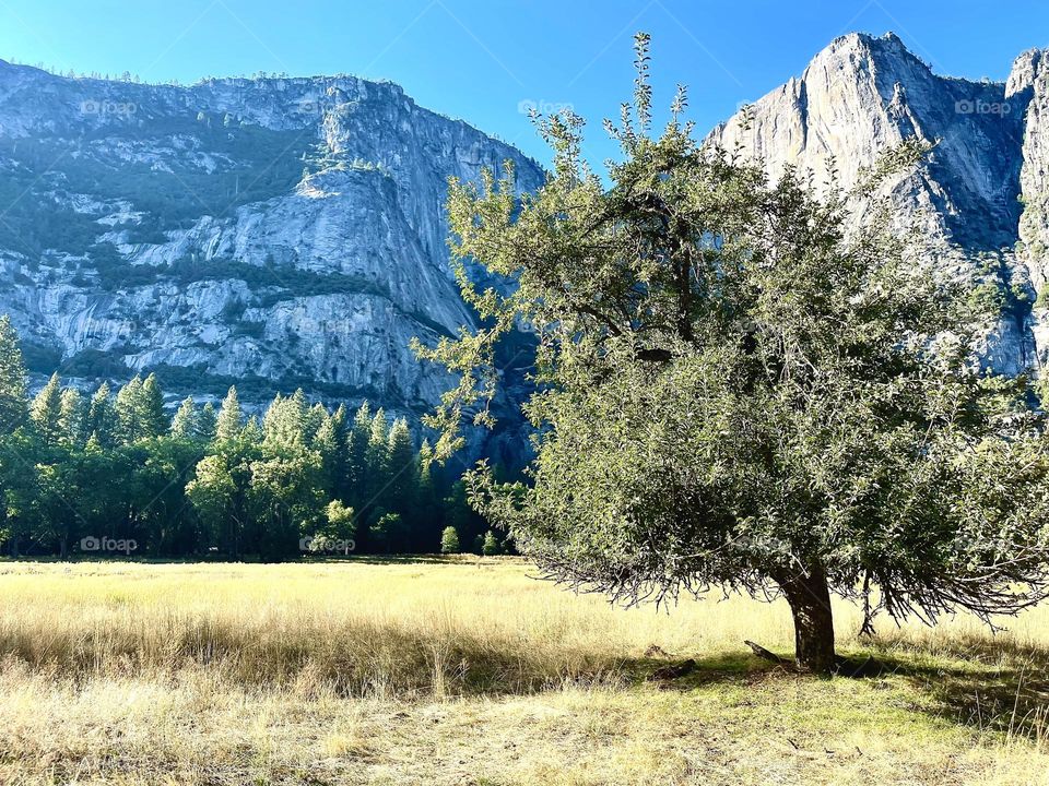 beautiful scenery going to Yosemite National Park