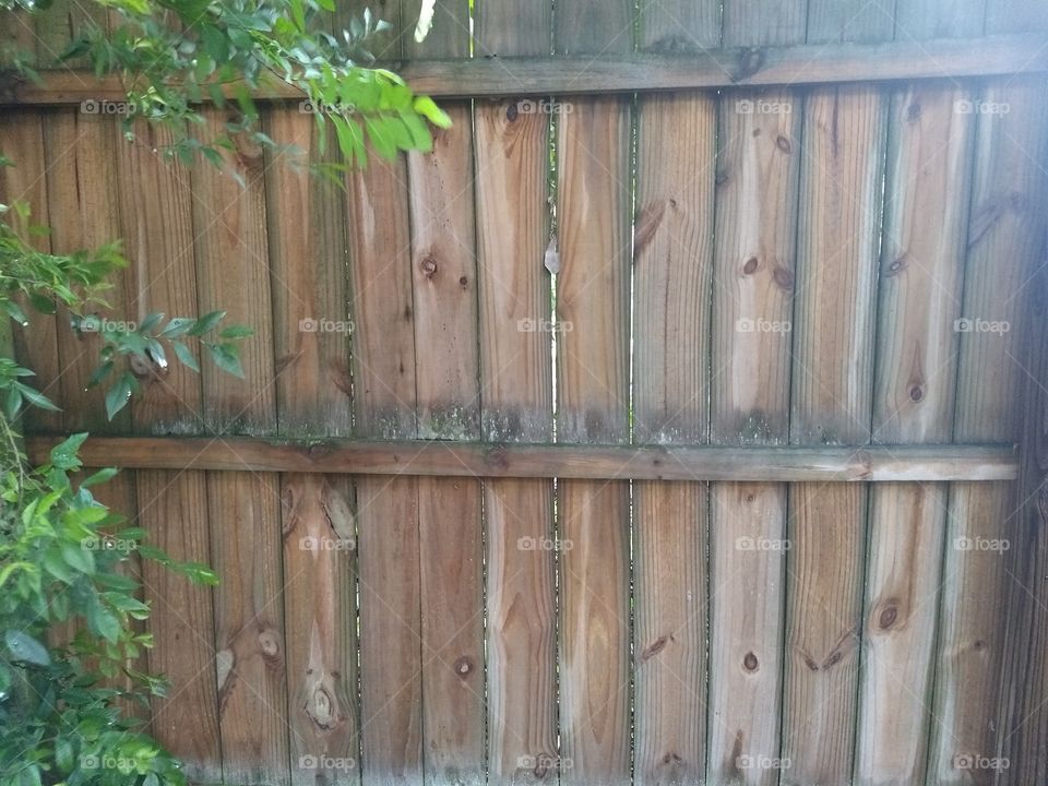 privacy fence