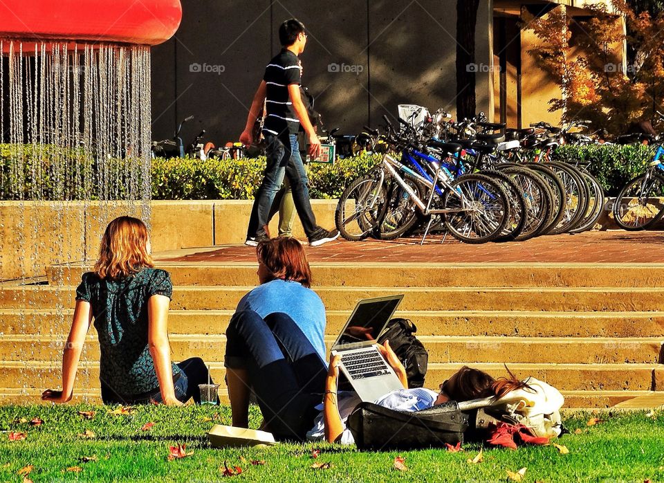 People Enjoying A Sunny Day In A City Park