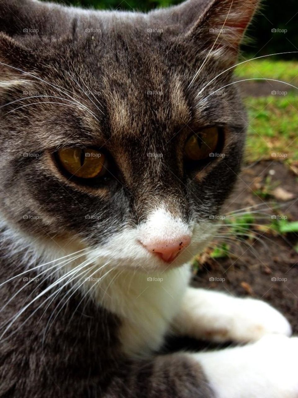 "Don't take my picture..."