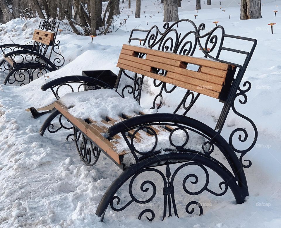 Beautiful Bench covered with Snow 