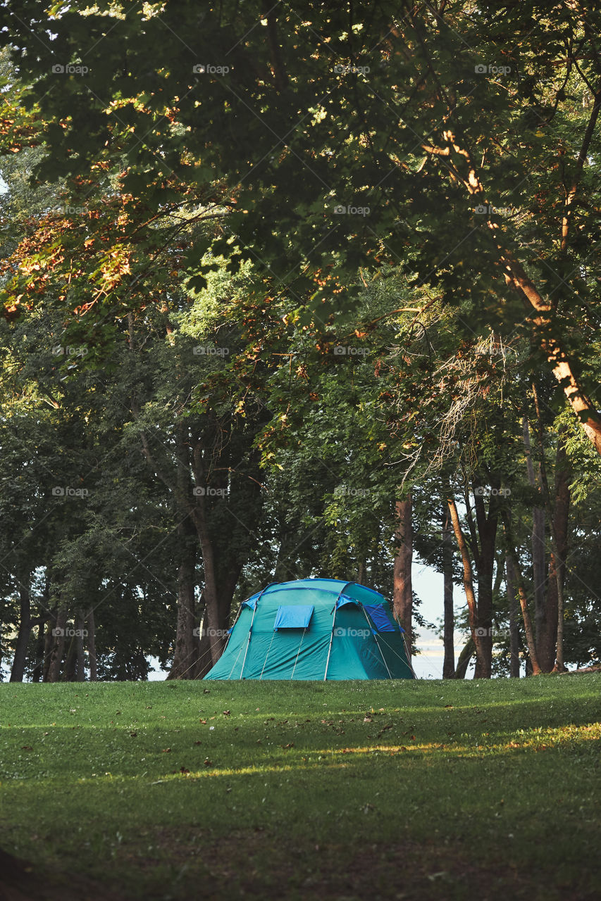 Tent among the trees on camping in forest. Candid people, real moments, authentic situations