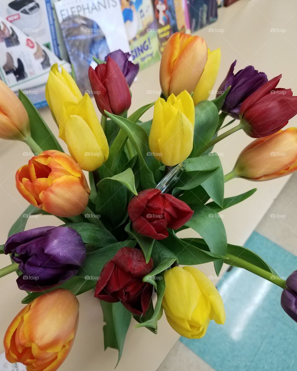 Tulip, Easter, Bouquet, Flower, Nature