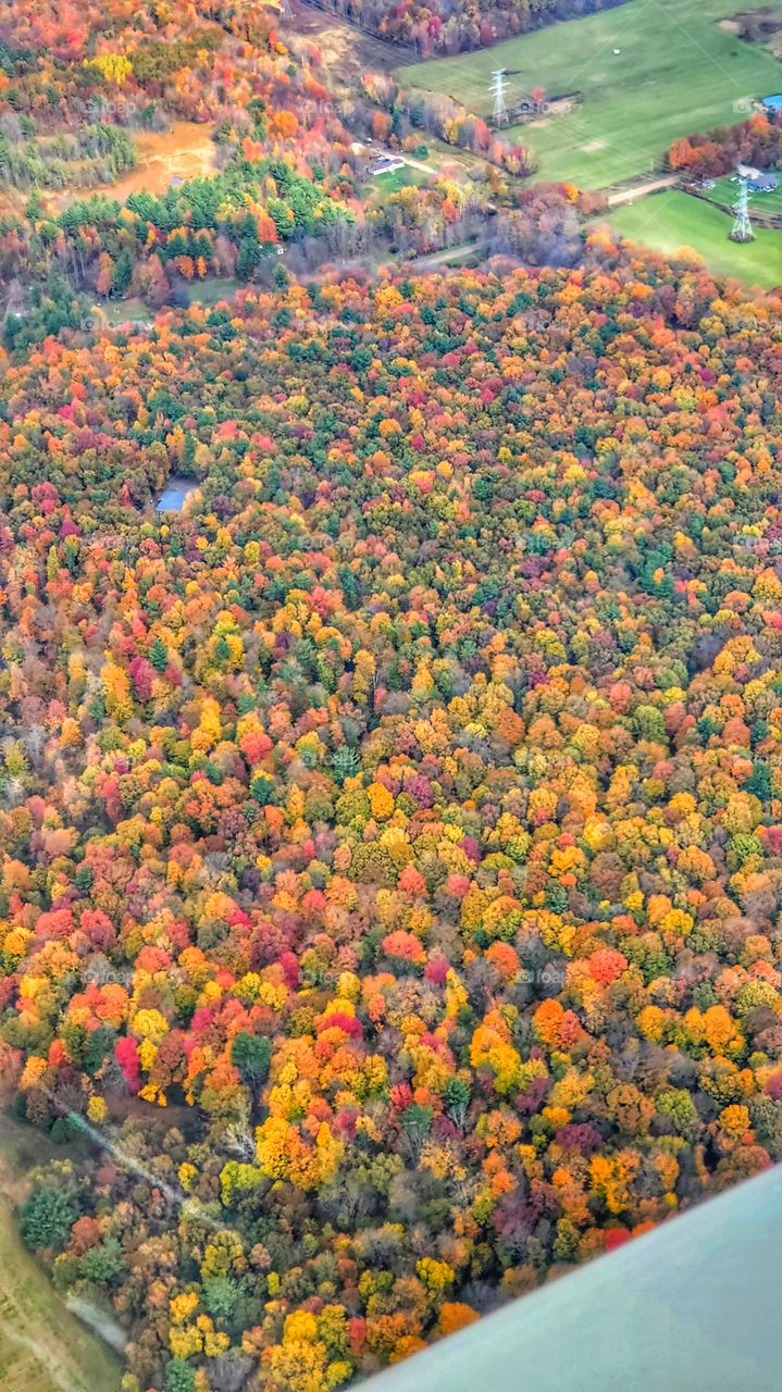 autumn from a plane in Michigan