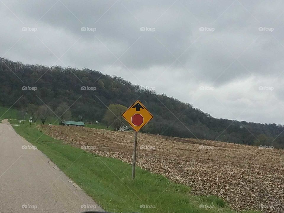 Driving the Back Roads and enjoying everything around us