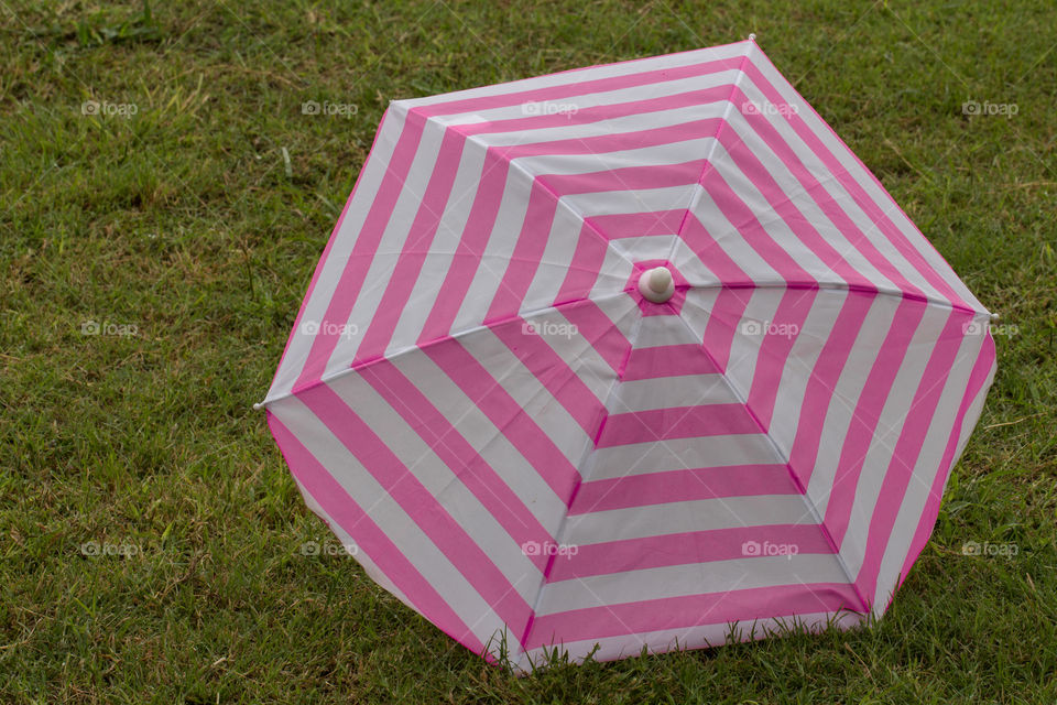 pink umbrella