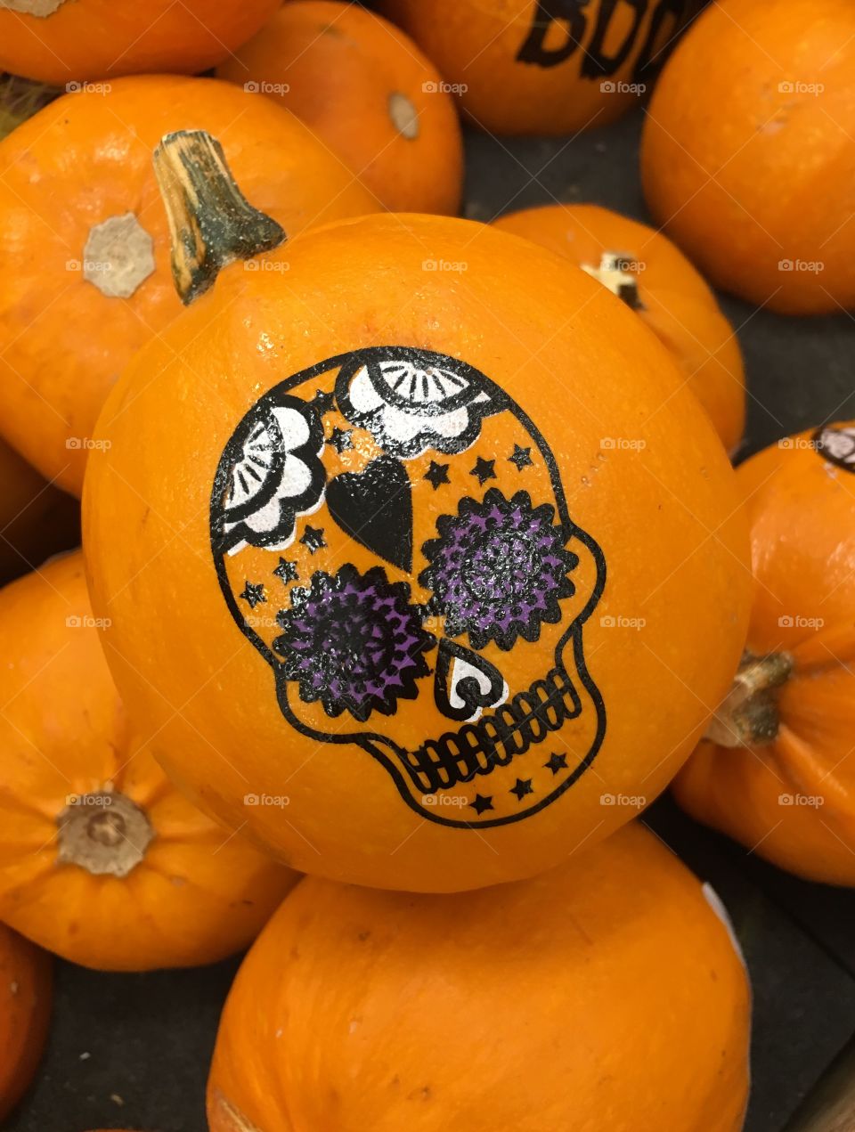 Sugar skull on pumpkin for Halloween