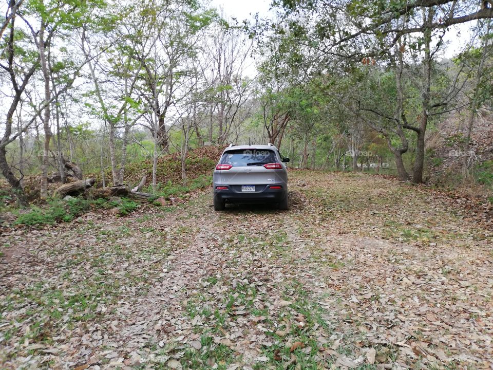 into the woods in Termas del Río, Gracias Honduras