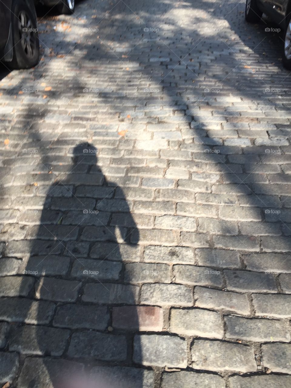 NYC cobble stone 
