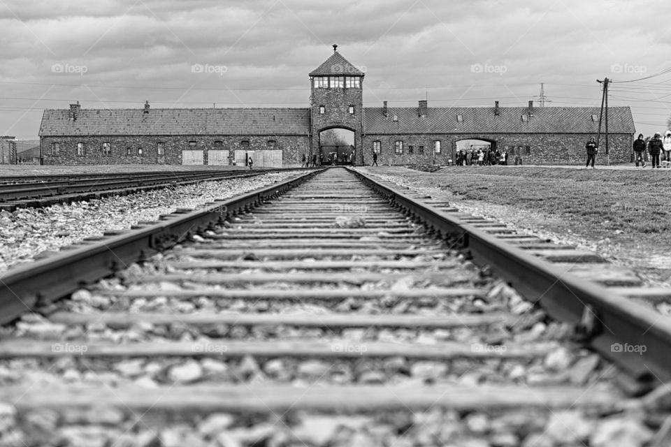 Birkenau 