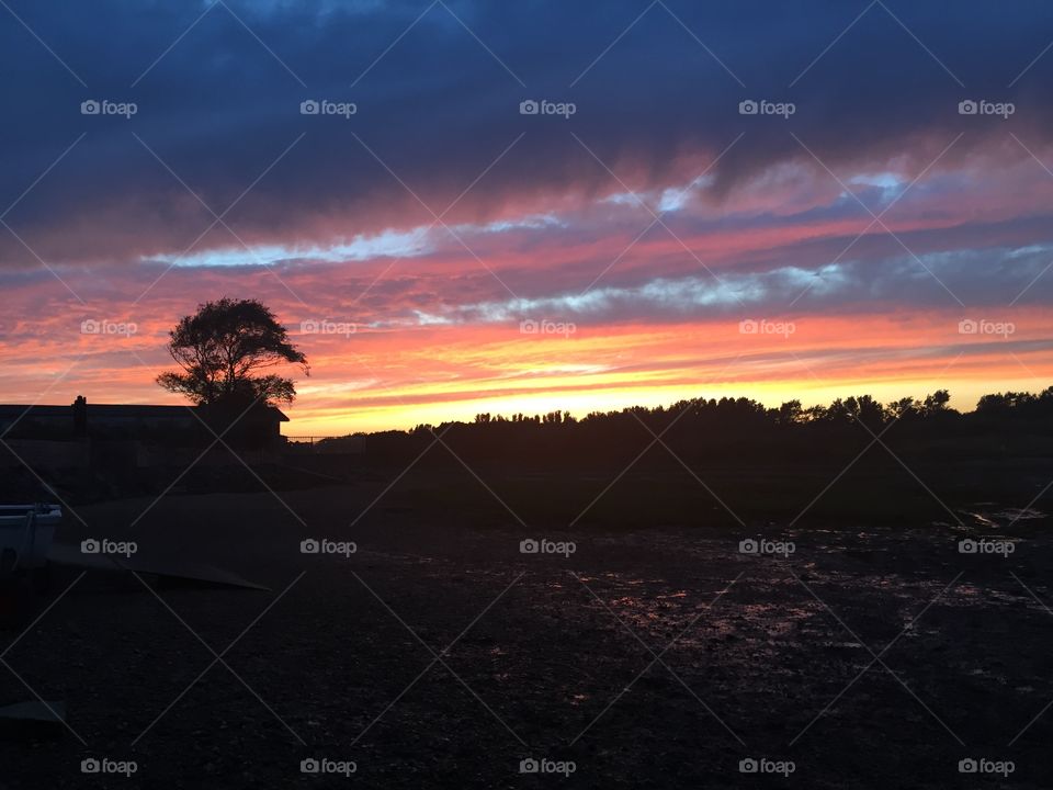 Sunset skies over Hayling Island with silhouette of tree