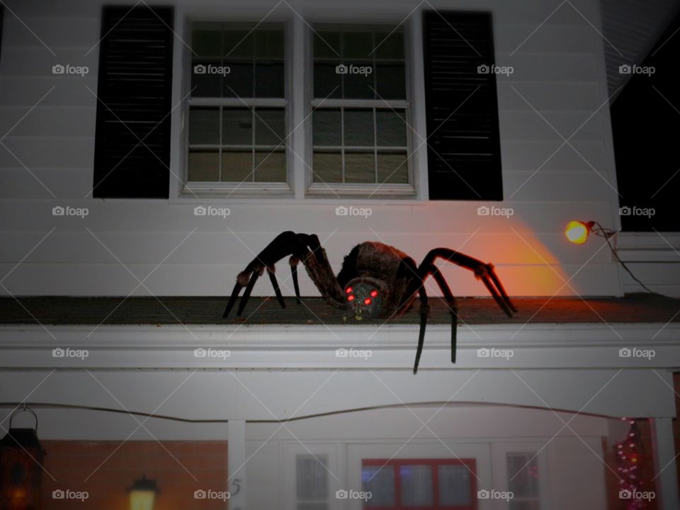 This spider was the scariest Halloween decoration I have ever seen in my life. It moved, eyes glowed and it made sounds.