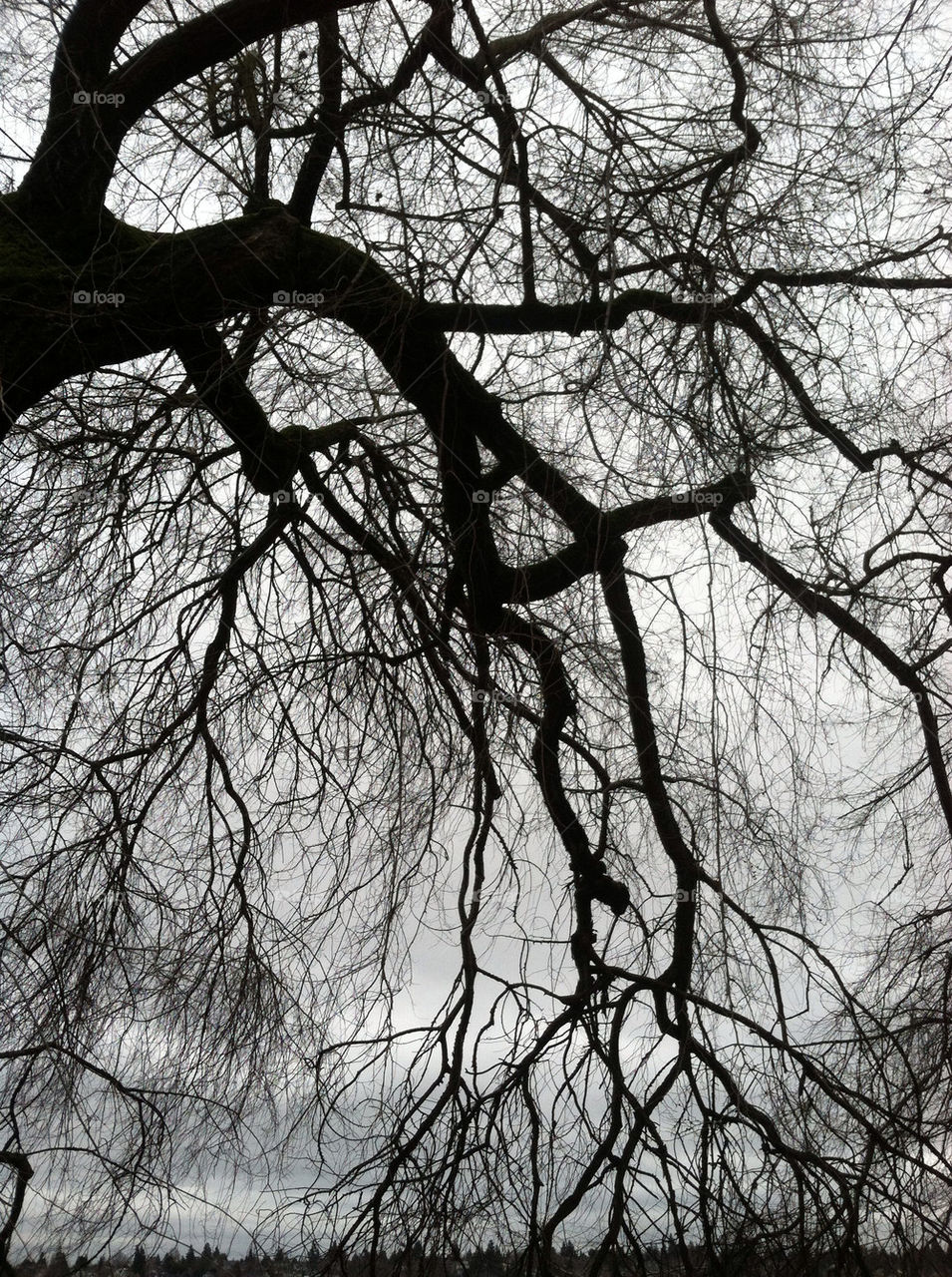 sky tree haunted by michaek_bdtkr