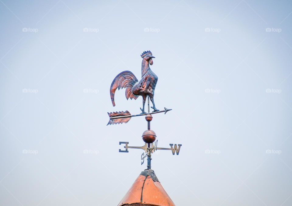 Metal vane in a shape of a rooster