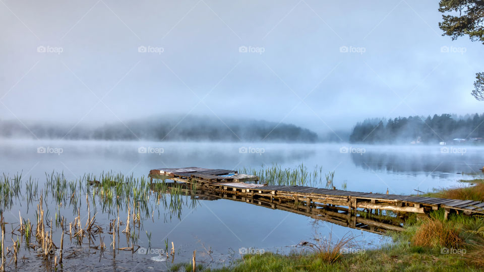 Foggy mornings over lake