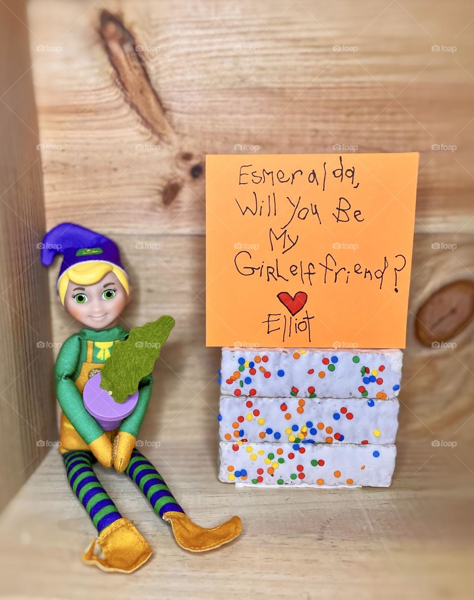 Elf asks another elf to be his girlfriend, funny elf antics for Christmas time, elf scenes from Christmas time, funny elf on the shelf ideas