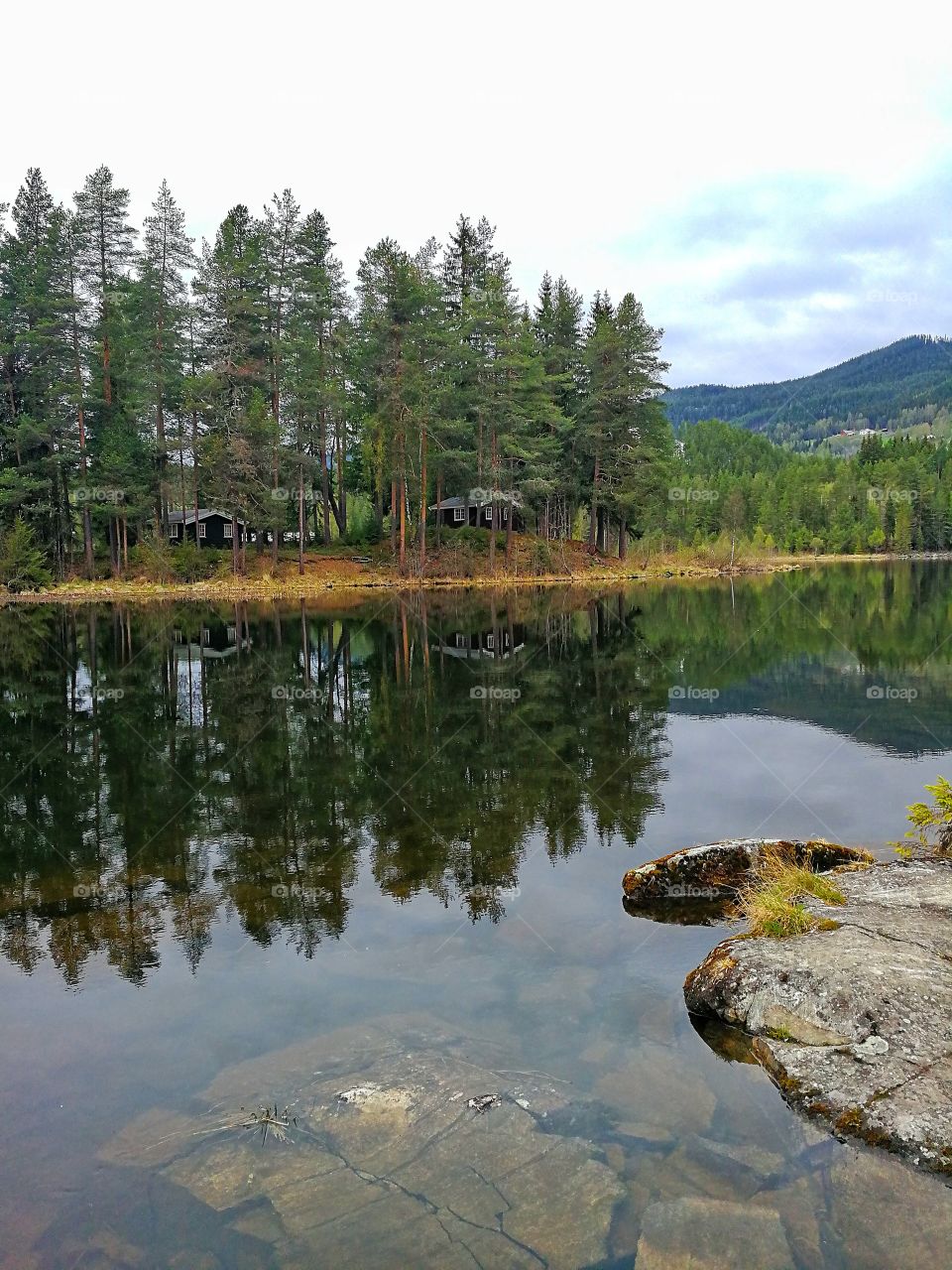 Reflection in the water