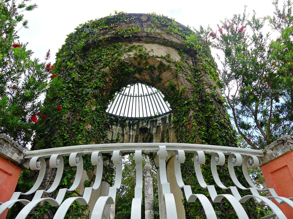 Urban Nature: Plants - Besides the decorative benefit, roof plantings may provide food, temperature control, hydrological benefits, architectural enhancement, habitats or corridors for wildlife. Concept: Beauty of Plant Life