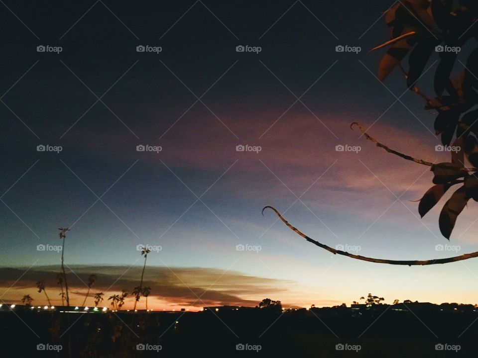 🌅Desperte, #Jundiaí.
Que a #quarta-feira possa valer a pena!
🍃
#sol #sun #sky #céu #photo #nature #morning #alvorada #natureza #horizonte #fotografia #pictureoftheday #paisagem #inspiração #amanhecer #mobgraphy #mobgrafia #AmoJundiaí