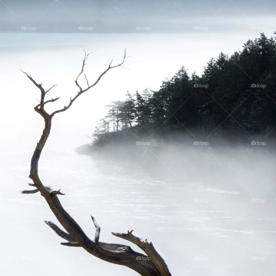 Fog blanketing the water and the island