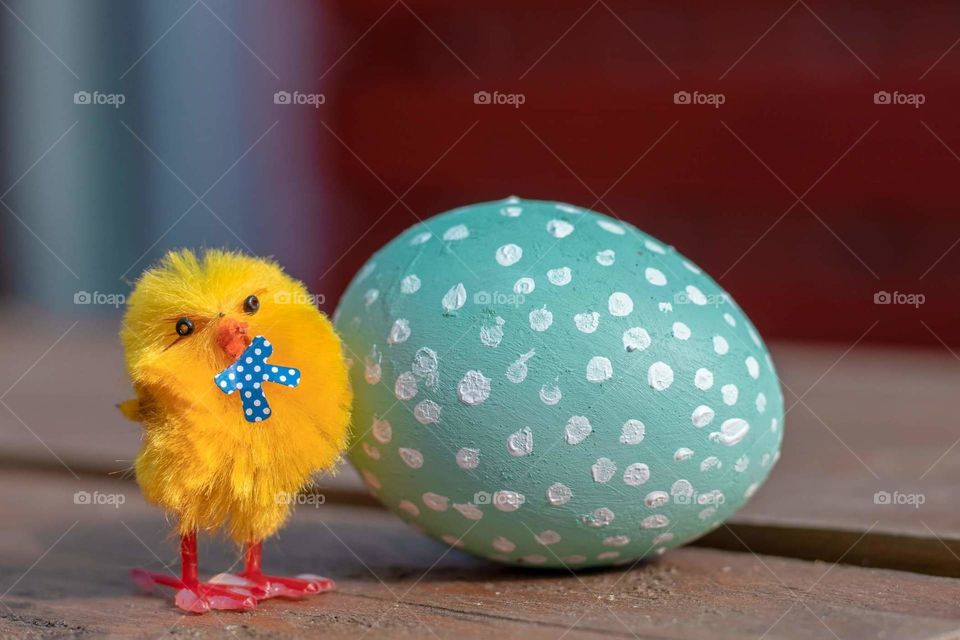 Easter egg and chicken