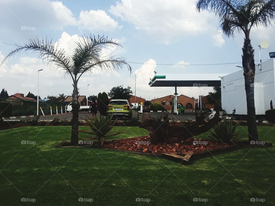 Beautiful garden at the local garage.