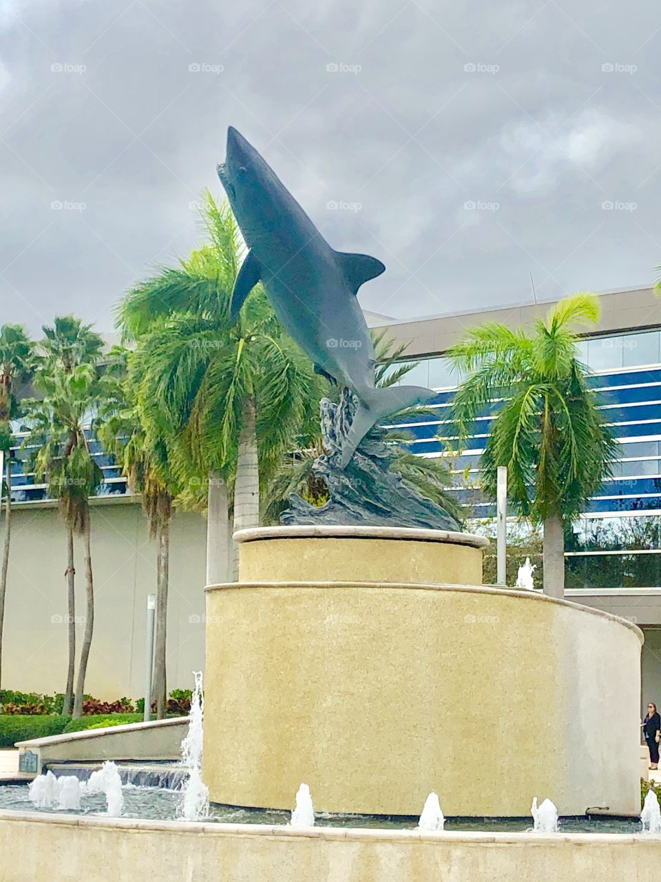 Shark statue 