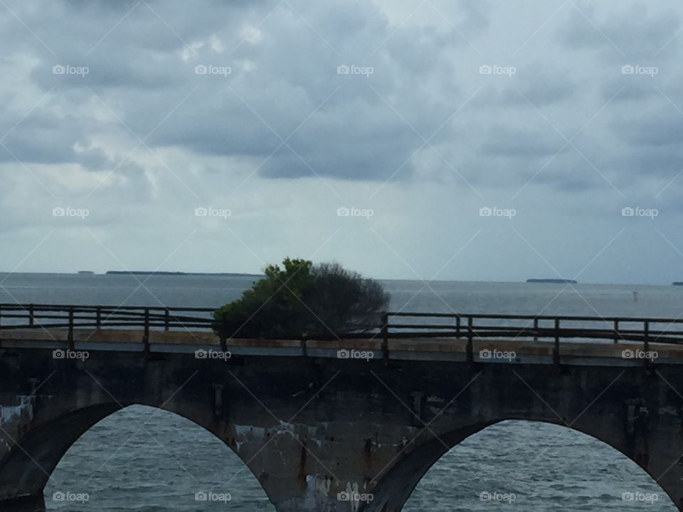 Historical bridge with new growth 