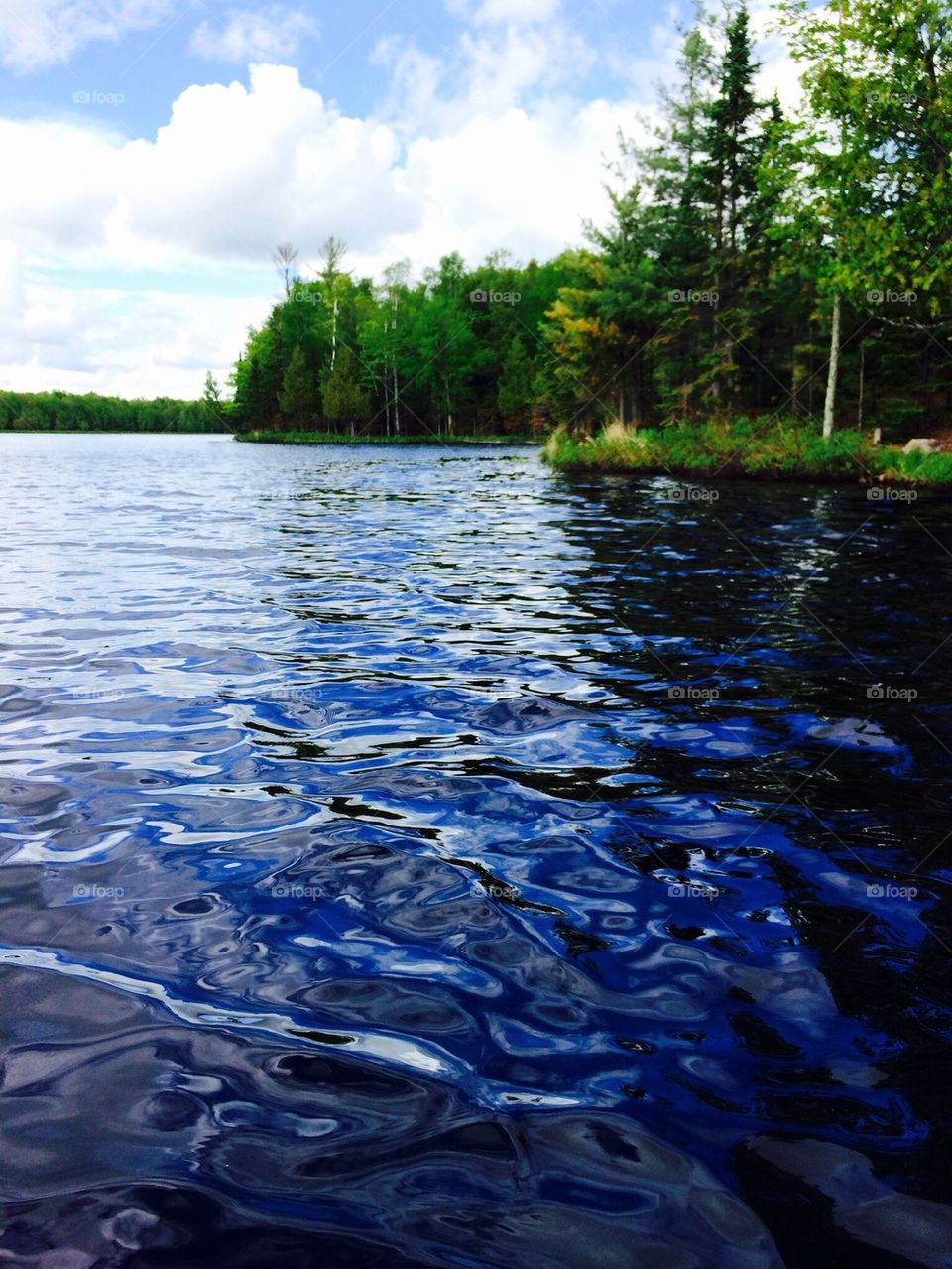 Scenic view of lake