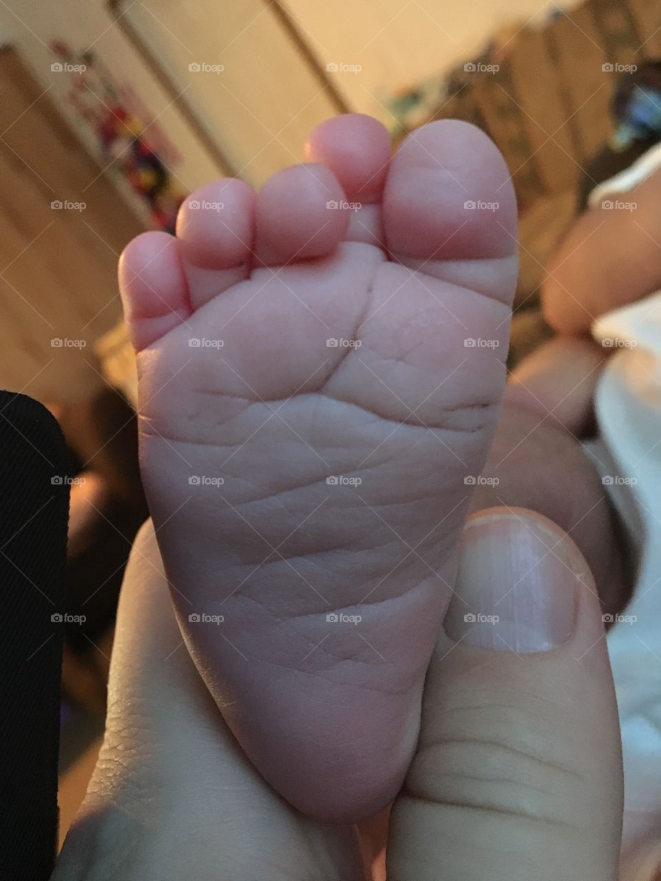One week old foot 