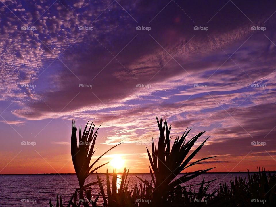 Mesmerizing sunset over the ocean with mauve colored sky and floating puffy clouds. It invites me and you to stare, into the descending sunset as it dipped below the horizon