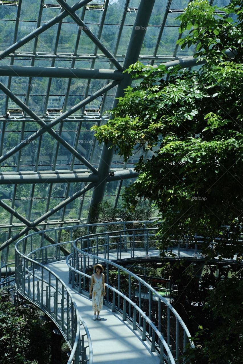 One day in the botanical garden