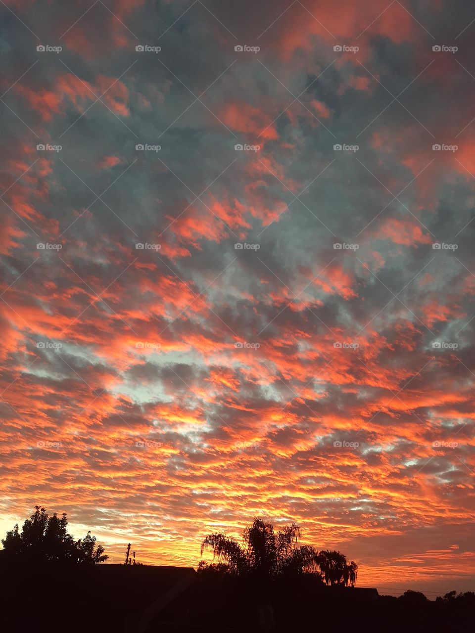 A orange, yellow, and red sunset against some dark clouds above an apartment complex in Florida.