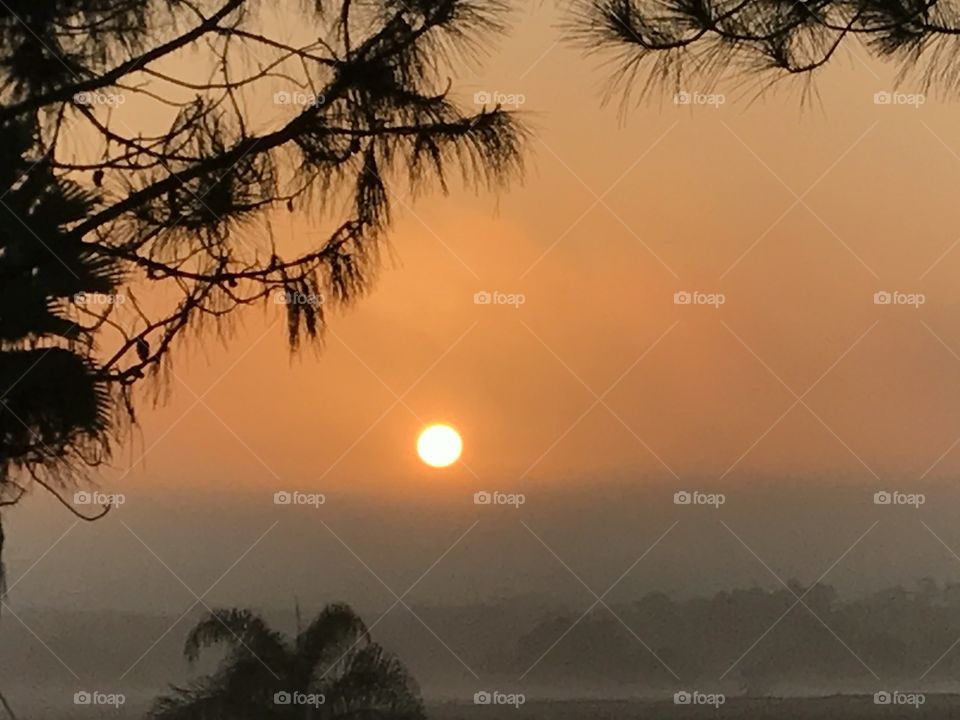 Sunset, Dawn, Landscape, Tree, Evening