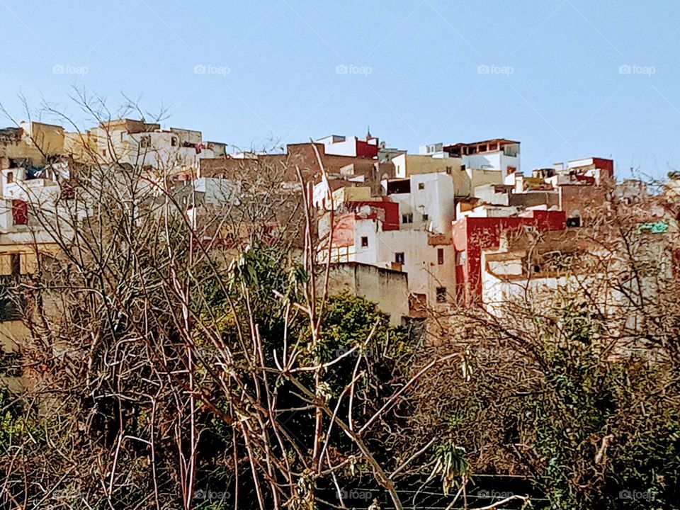 Population between the nature