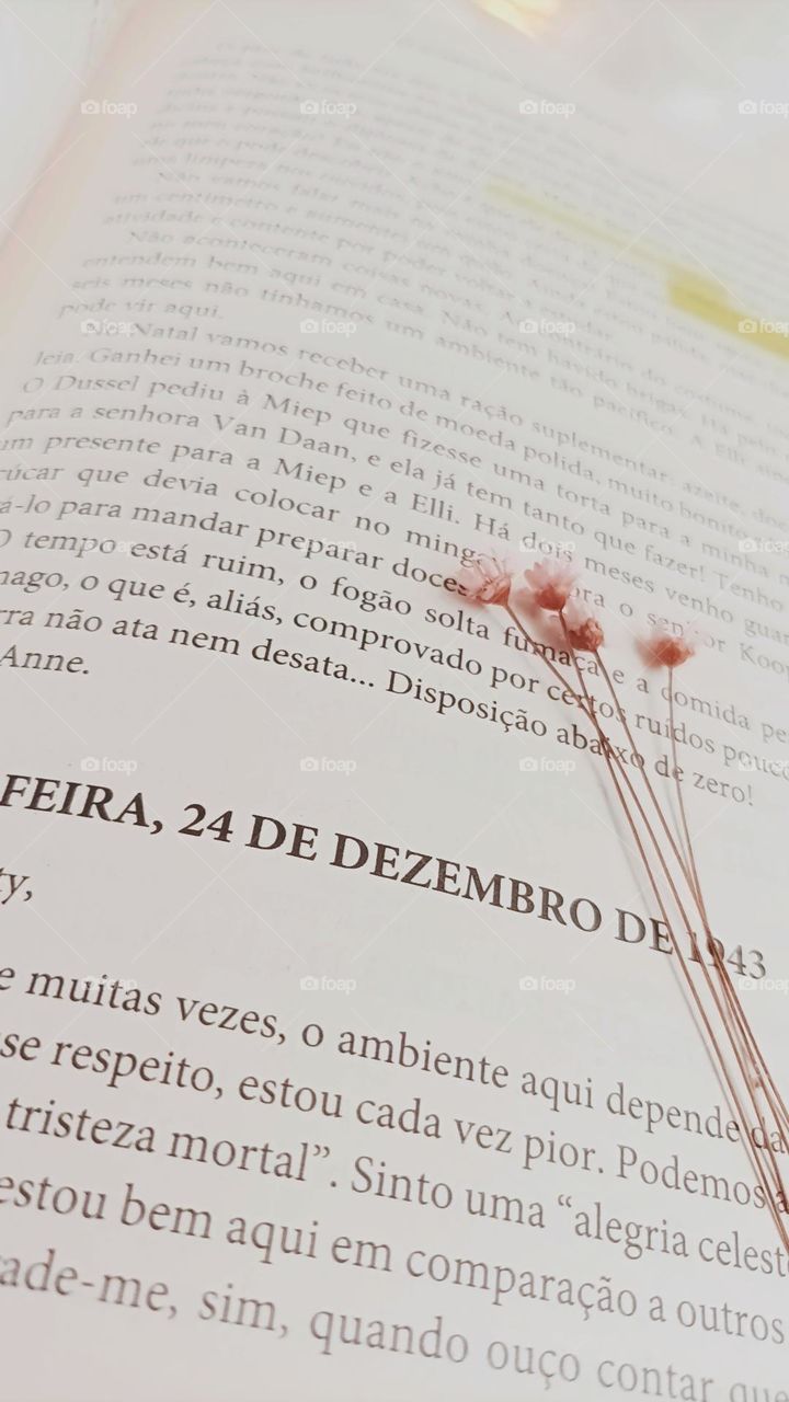 páginas de livro com florzinhas