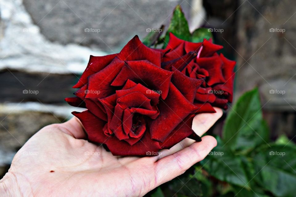 Reflection of My Soul